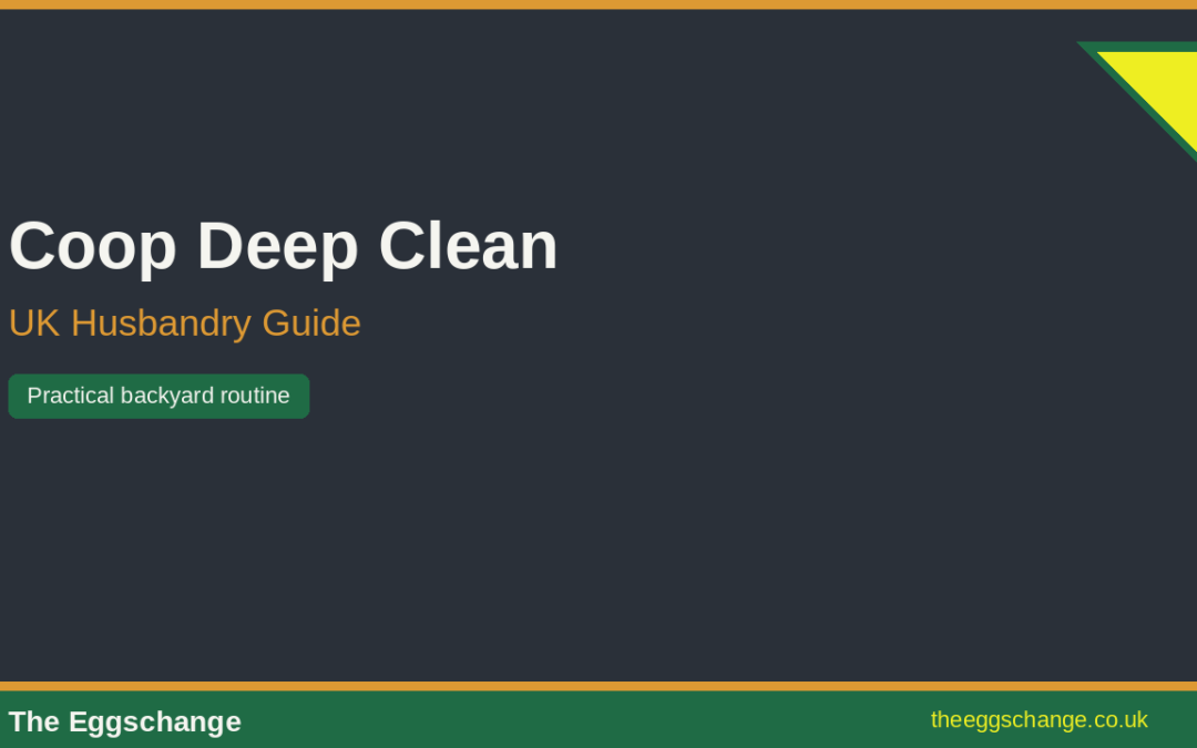 Deep Cleaning Your Chicken Coop: A Practical UK Routine
