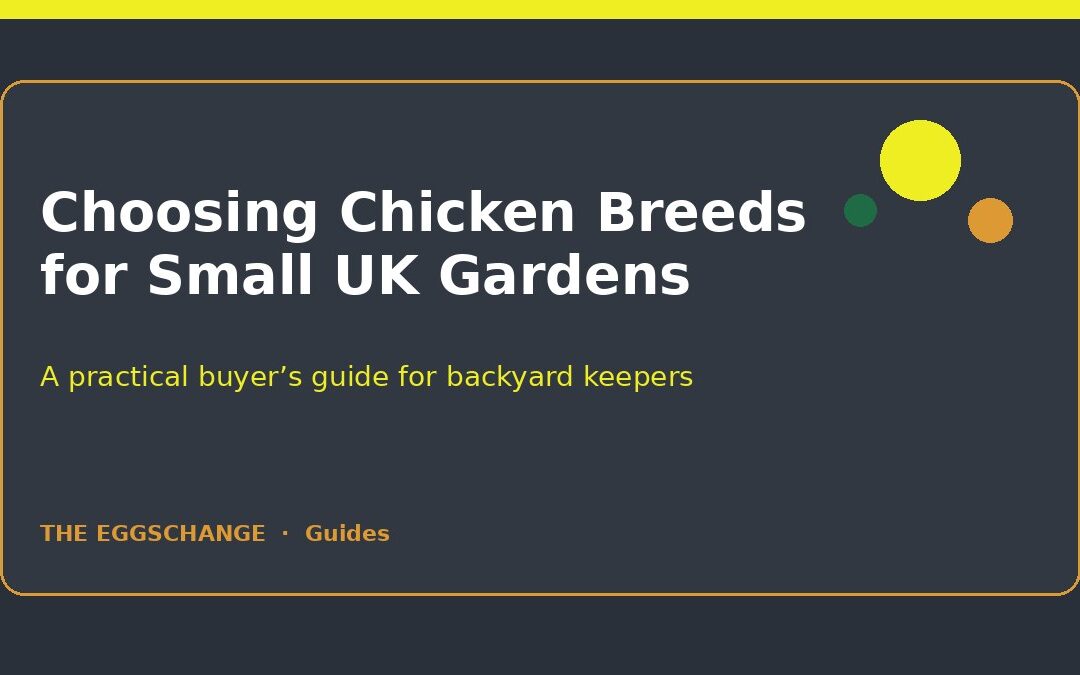 Choosing chicken breeds for small UK gardens — The Eggschange guide cover